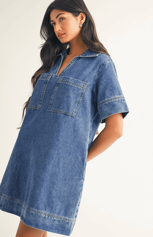 Denim Avenue Dress